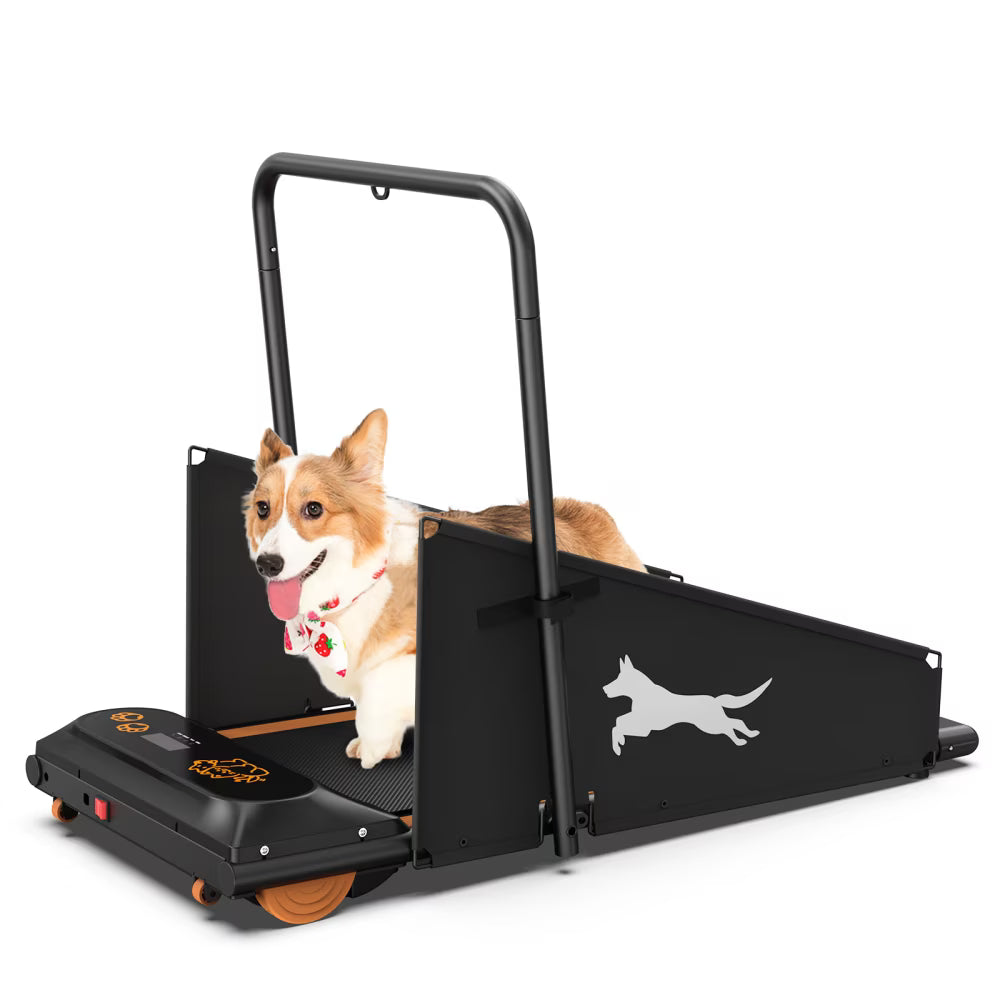 Dog Treadmill For Small And Medium Dogs - W215P235106