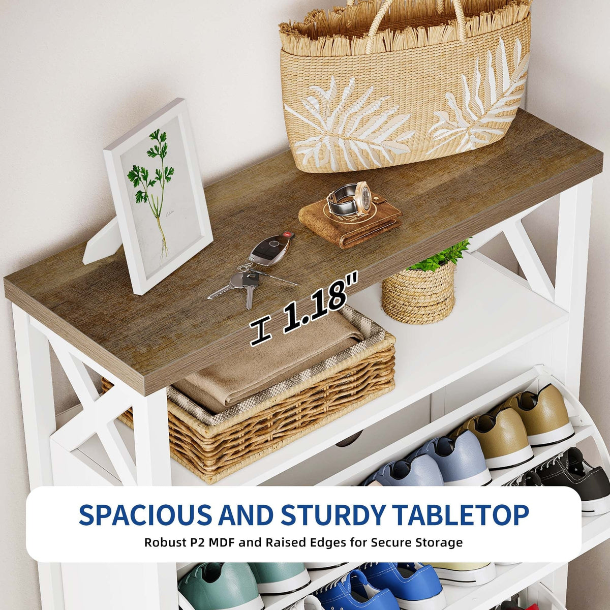 Shoe Storage Cabinet Organizer With 2 Compartments, 9.8 x 31.5 x 43.5 Inches