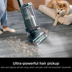 Shark POWERDETECT Upright Vacuum With DuoClean Detect, Black/Teal - AZ4000