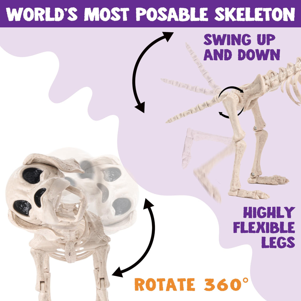 Joyfy 9.8 Inch Halloween Skeleton Dog Skeleton Halloween Decor, Pose-N-Stay Plastic Skeleton Bones with Posable Joints for Hallowmas Decoration Outdoor Haunted House Party