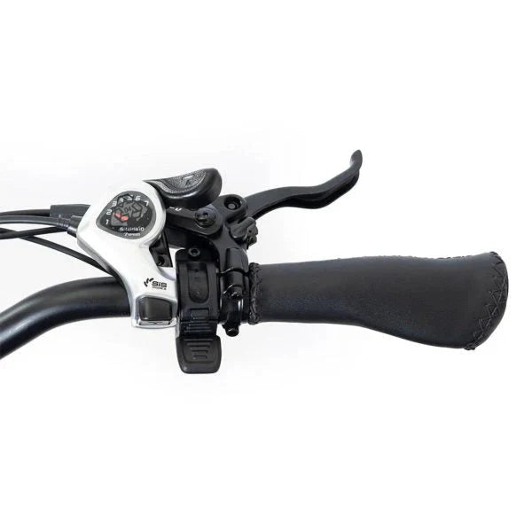DWMEIGI Silverado 20 48V/14AH 750W Foldable Fat Tire Electric Trike, 330LBS - MG2301 96817362