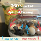 Harris Farms Egg Incubator For Hatching Chicks, Holds 22 Eggs - Nurture Right