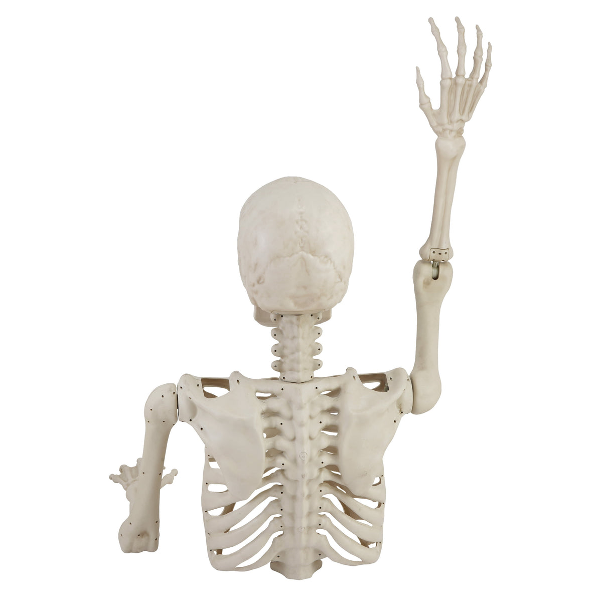 Skeleton Groundbreaker Decoration, Ivory, 46", Halloween by Way To Celebrate