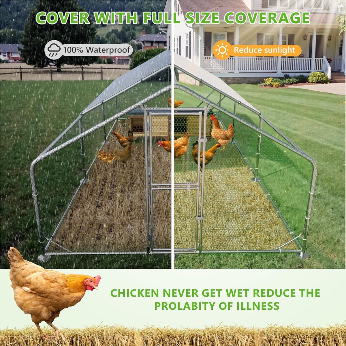 Metal Chicken Run With Feeding Door, Anti-UV Cover And Perch - 6-5x10-ft, 13x10-ft, 20x10-ft Or 26x10-ft