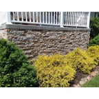 AIRSTONE Cement Primary Wall Tiles, Autumn Mountain Brown, 8 sq ft