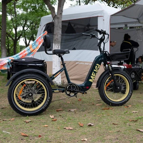 DWMEIGI Silverado 20 inch 48V/14Ah 750W Folding Electric Tricycle With Wide Tires, 150 kg - MG2301