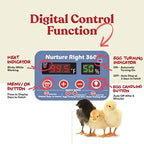 Harris Farms Egg Incubator For Hatching Chicks, Holds 22 Eggs - Nurture Right