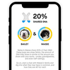Embark Dog DNA Breed Identification Test Kit With Doggy Relative Finder
