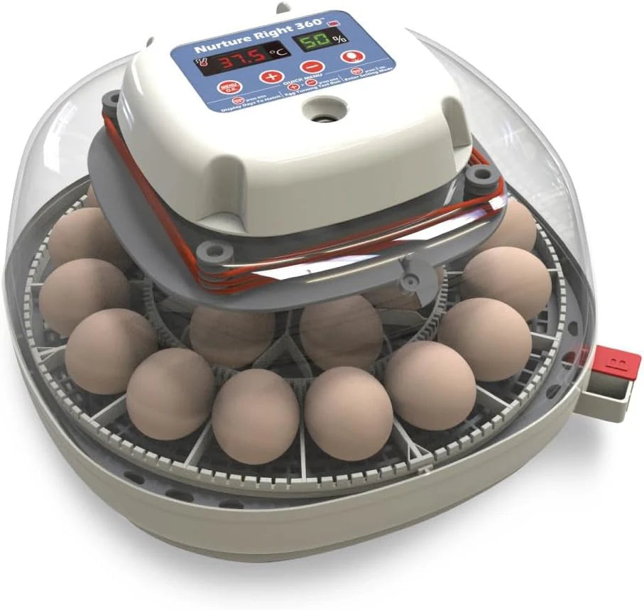 Nurture Right Egg Incubator For Hatching Chicks, Holds 12-22 Eggs - Automatic Turner